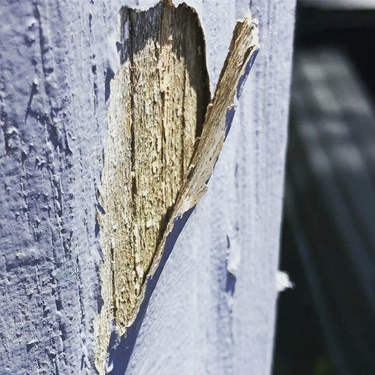 Surface Preparation and Gray Wood
